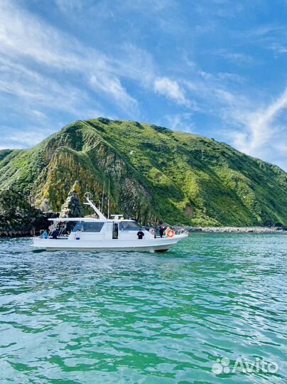 Морские прогулки на катере