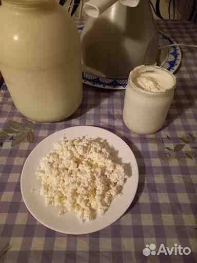 Молоко коровье,творог,сметана