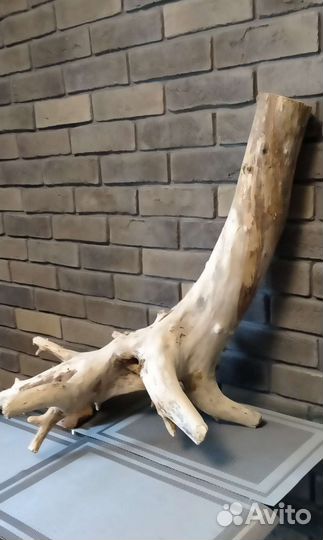 Коряги для аквариума