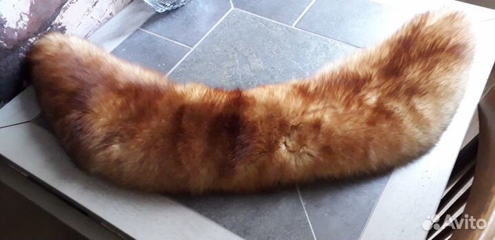 Меховой воротник Песец