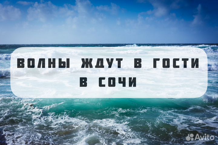 Отпуск в Сочи у берегов Черного Моря