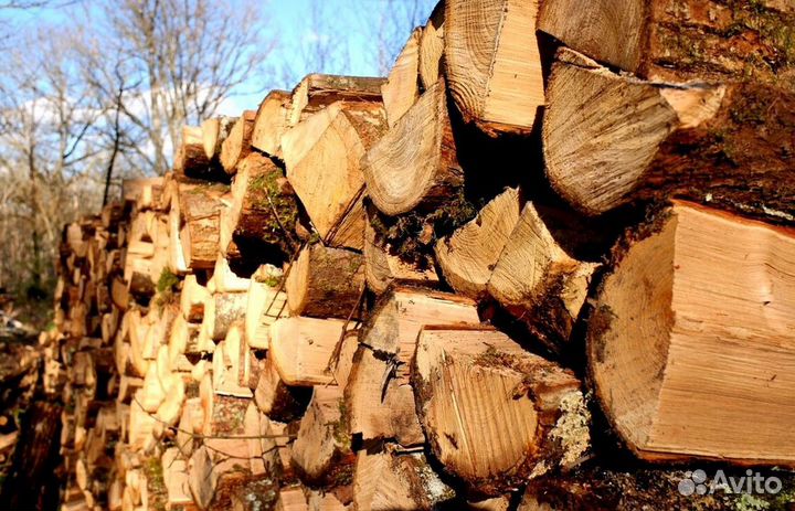 Дрова осина ольха береза