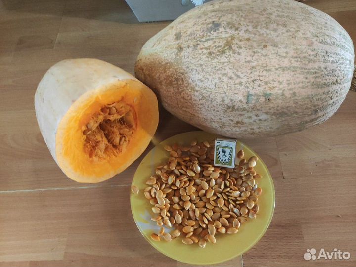 Тыква Розовый банан,кабачки