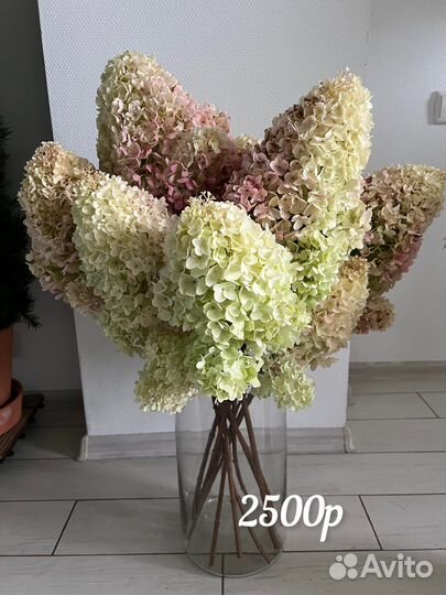 Гортензия сухоцвет и прочее