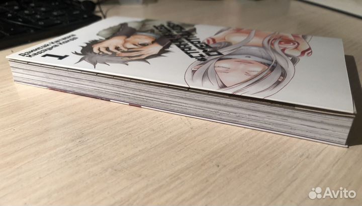 Манга Страна чудес смертников 1 том