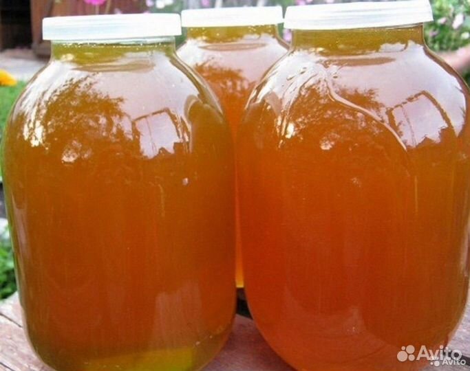 Майский мед 2024 года