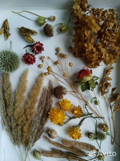 Материалы для творчества - вощина для свечей 1 кг