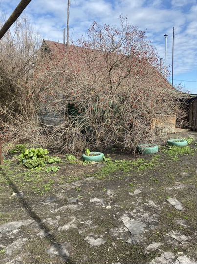 Дом 35 м² на участке 40 сот.