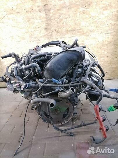 Двигатель ASN Audi A6 C5 3.0 82 т.км