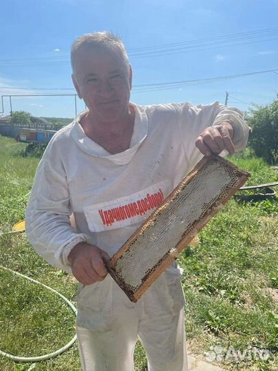 Пчелопакеты карника