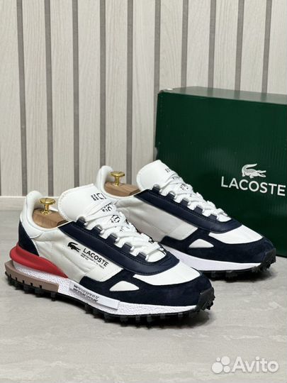 Кроссовки мужские lacoste