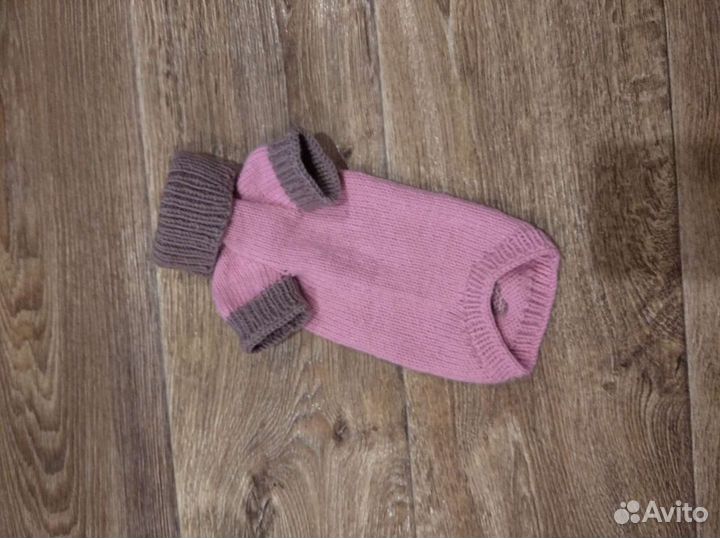 Одежда для собак