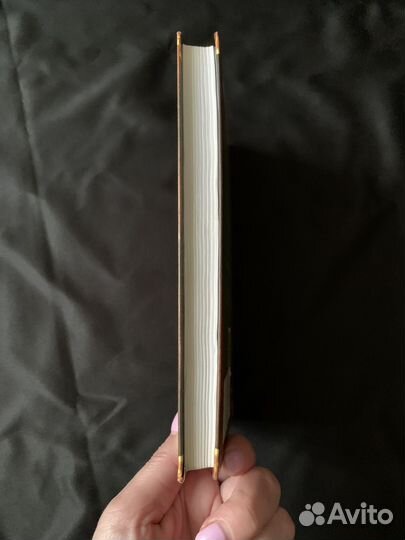 Коты-воители.Стань диким