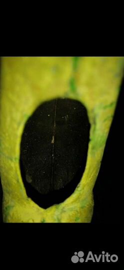 Курительница Фазан