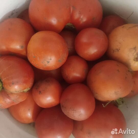 Помидоры