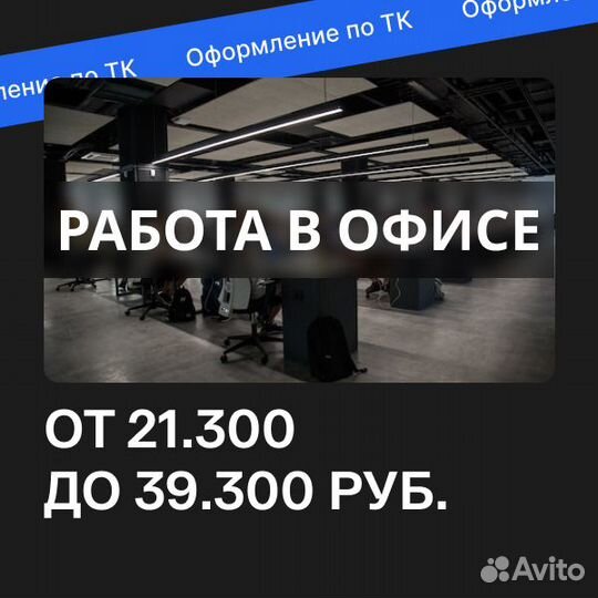 В офис, оператор по телефону