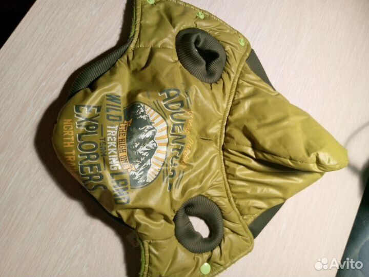 Весенний комбинезон для собак