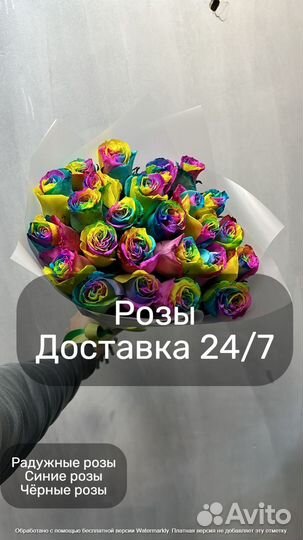 Цветы розы 21 31 51 ароматная роза