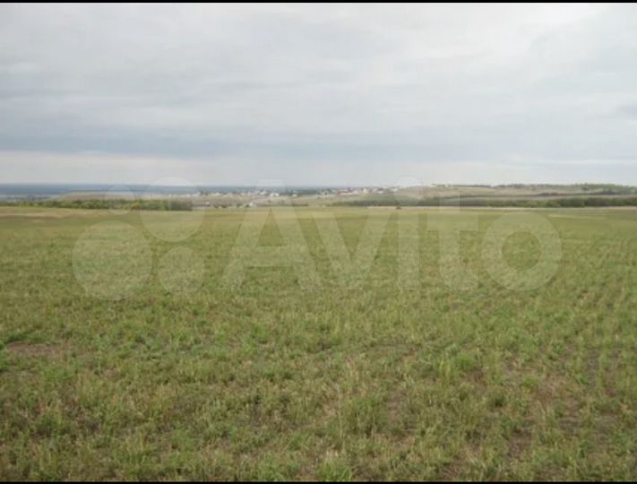 Участок 2 га (СНТ, ДНП)