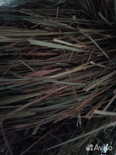 Сено на корм,подстилки животным, в огород