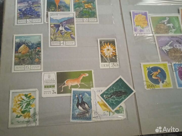 Почтовые марки СССР