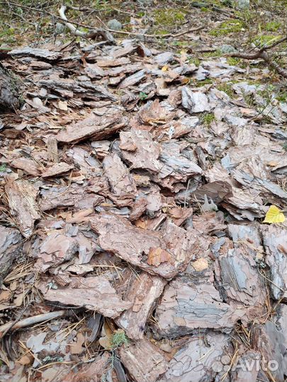 Кора сосны мульча