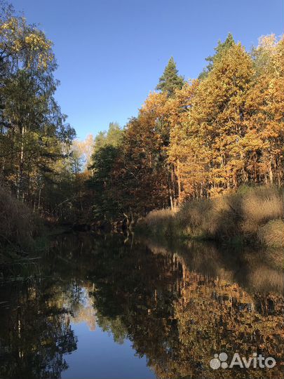 Сплав на байдарках река Нерская