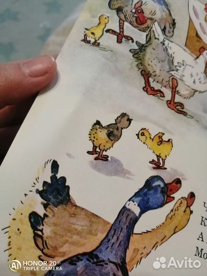 Алексей Крылов 