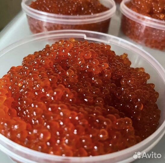 Икра горбуши 2023