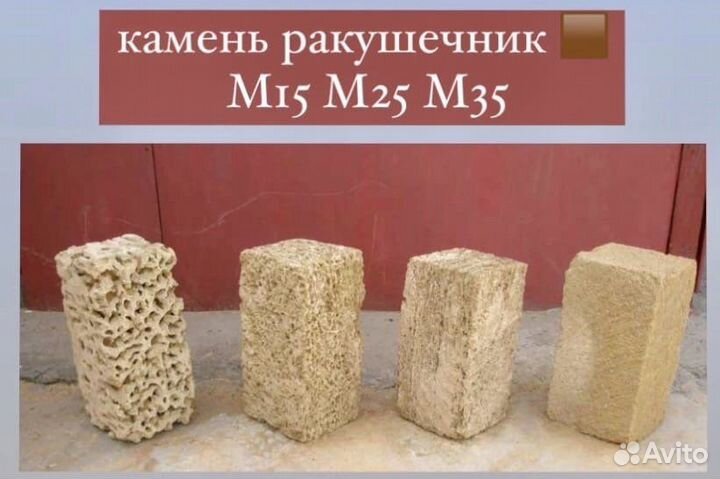 Ракушка