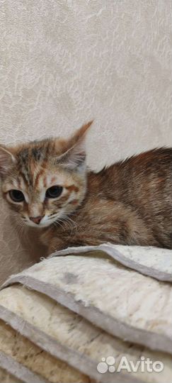 Молоденькая малышка месяца 4