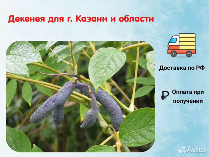 Декенея для г. Казани и области