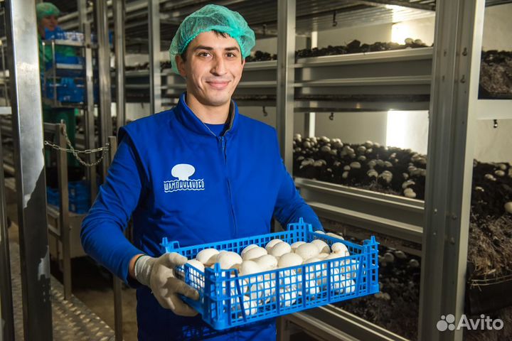 Рабочие в грибной комплекс М и Ж