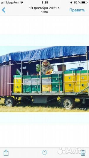 Пчелоприцеп легковой