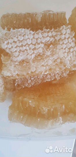 Продам мед в сотах, запечатаные рамки