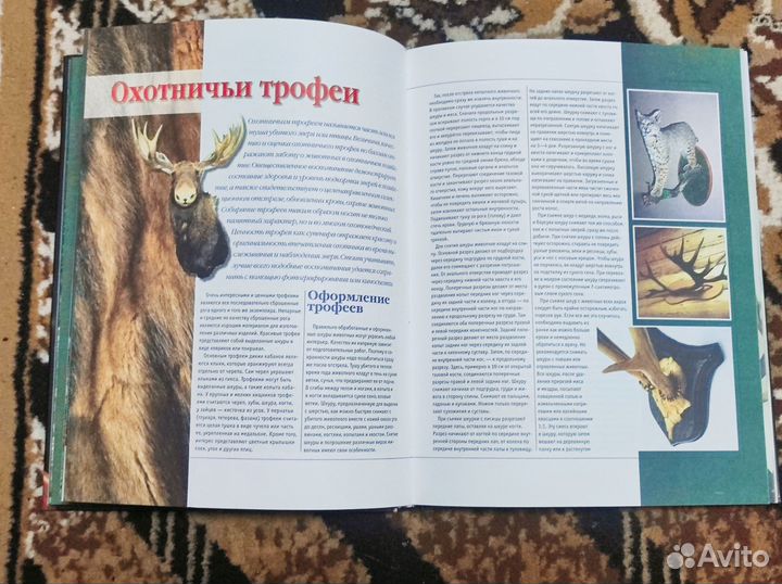 Энциклопедия Охоты редкая книга