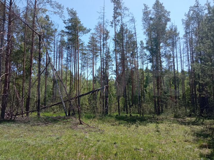 Участок 26,7 га (СНТ, ДНП)