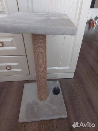 Когтеточка