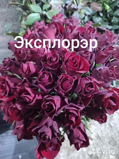 Цветы(розы) опт