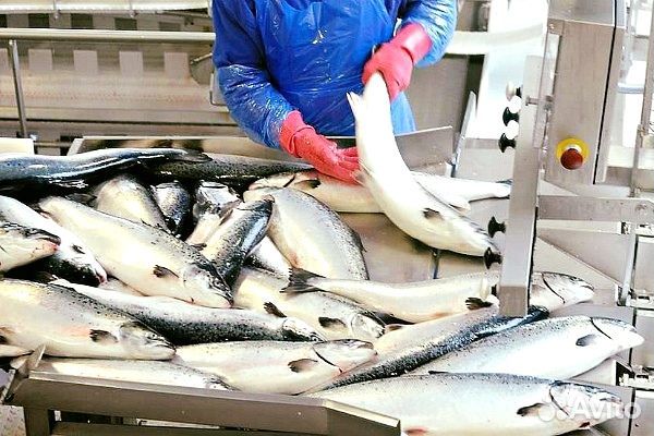 Разнорабочий