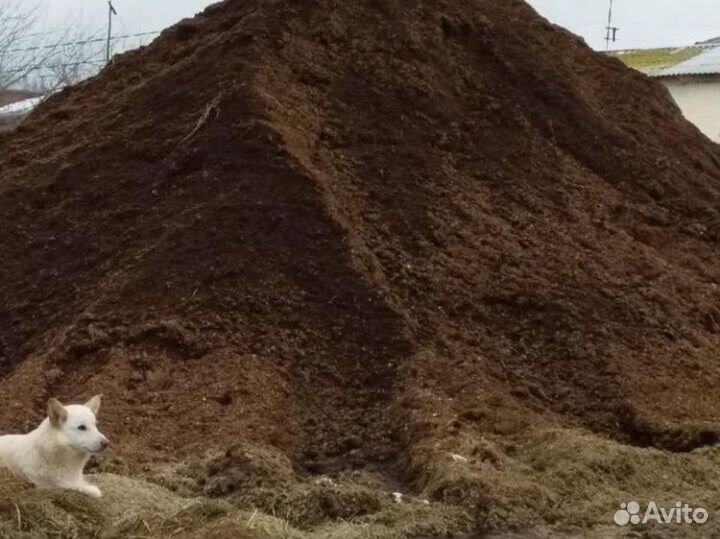 Конский перегной