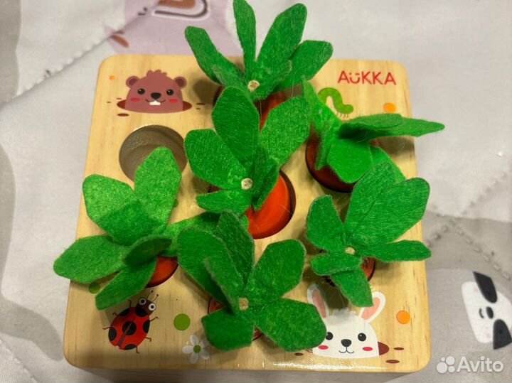 Сортер морковки