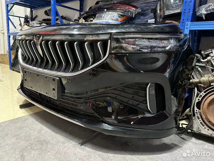 Ноускат Voyah Free