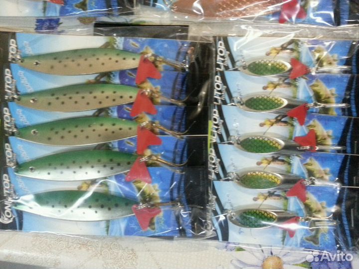 Черви краснодарские