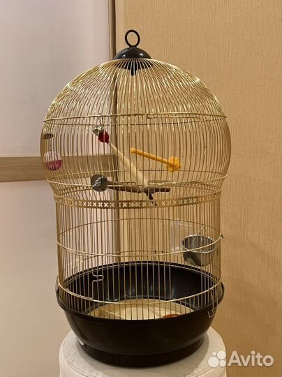 Клетка для крупного попугая