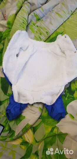 Одежда для собак