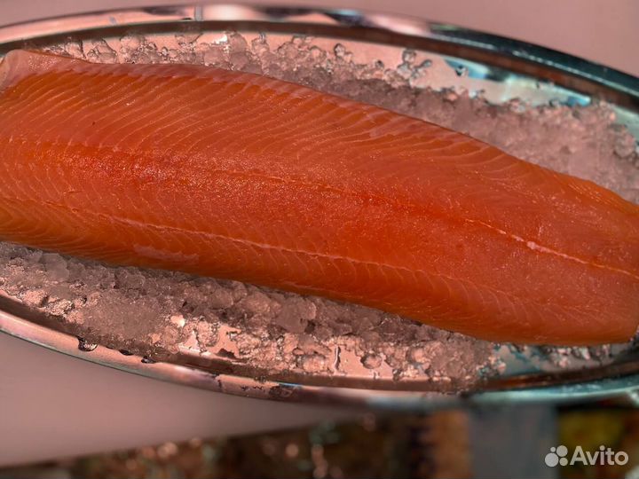 Лосось филе слабосолённый 2023г. Опт
