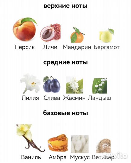 Духи Dolce Gabbana the One