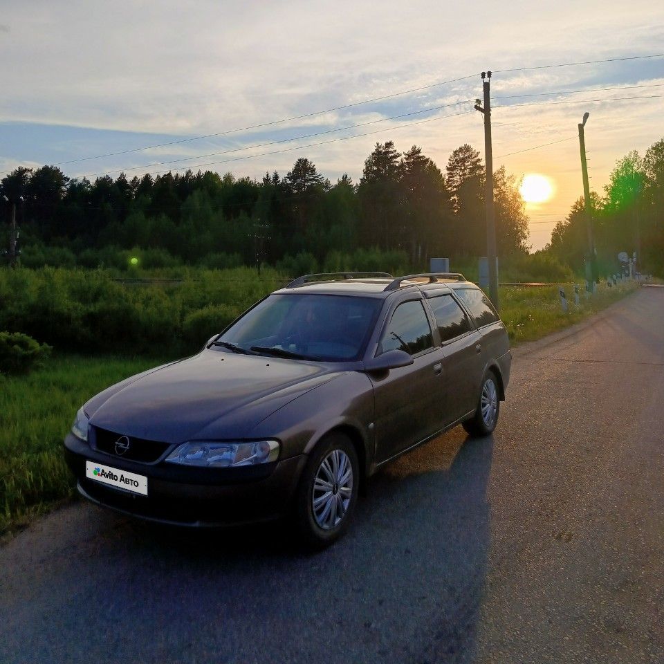 Opel Vectra: фото владельца