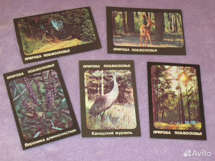 Календари природа, птицы, растения, Красная книга